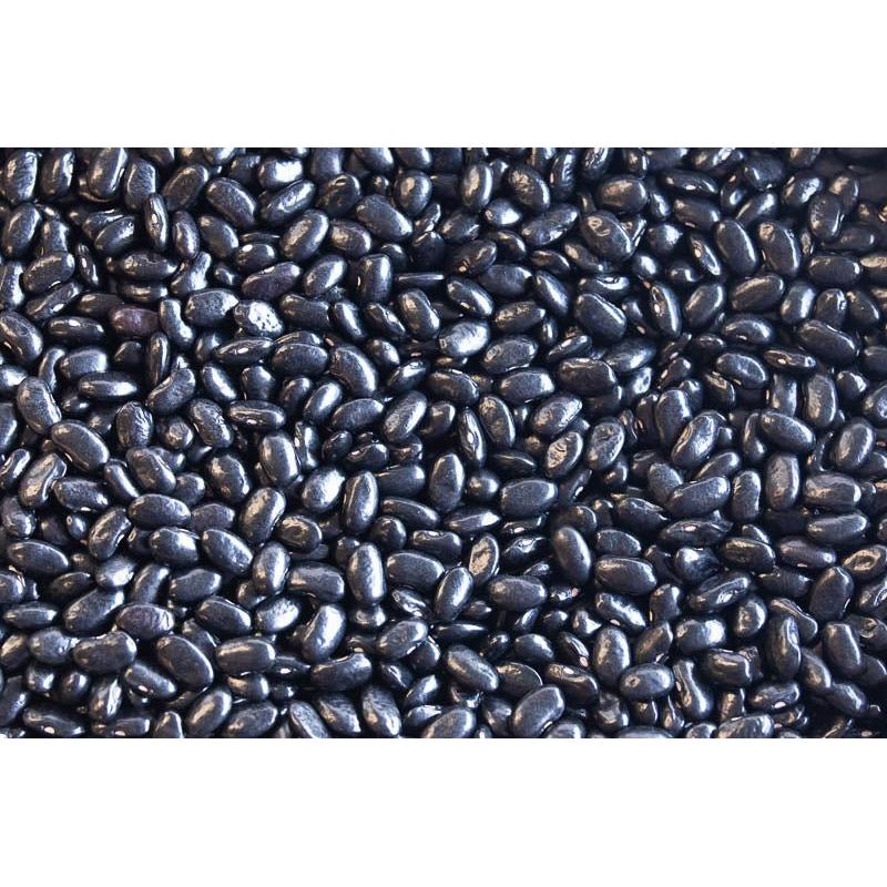 Rancho Gordo Chiapas Black Bean (Frijol Negro de Vara)
