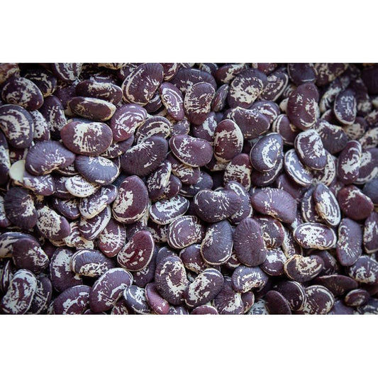 Rancho Gordo Christmas Lima Bean