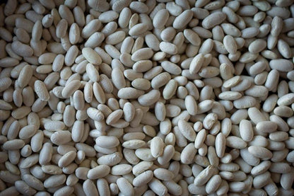 Rancho Gordo "Marcella" Cannellini Bean