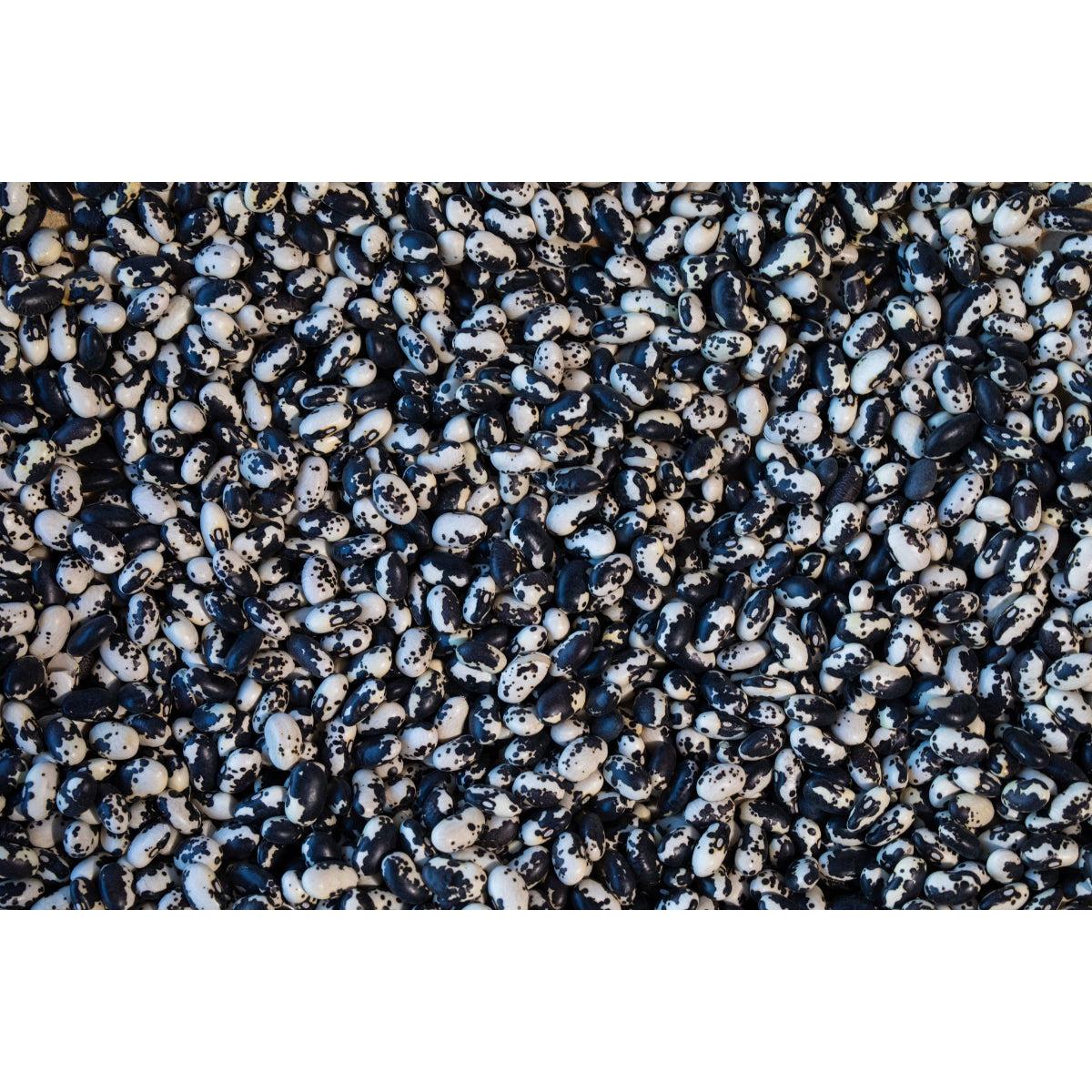 Rancho Gordo Vaquero Bean