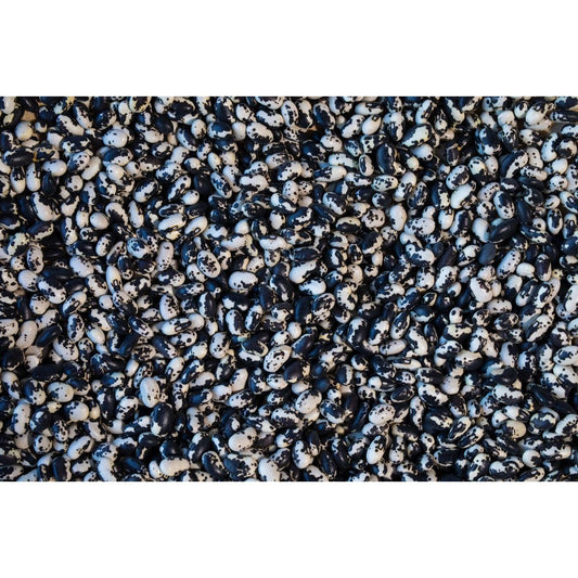 Rancho Gordo Vaquero Bean