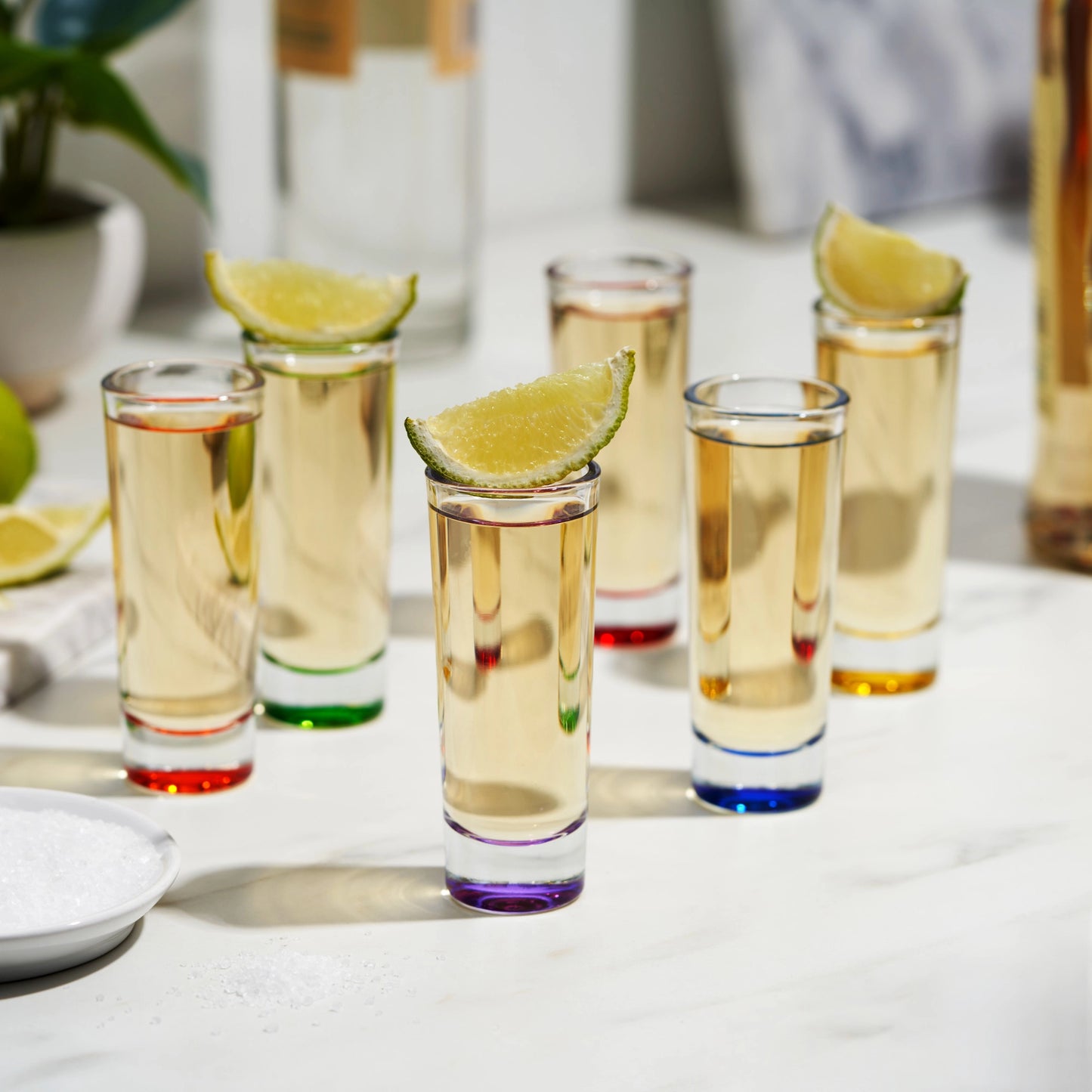 TRUE Shooter Multi-Colored Shot Glasses (Set of 6)