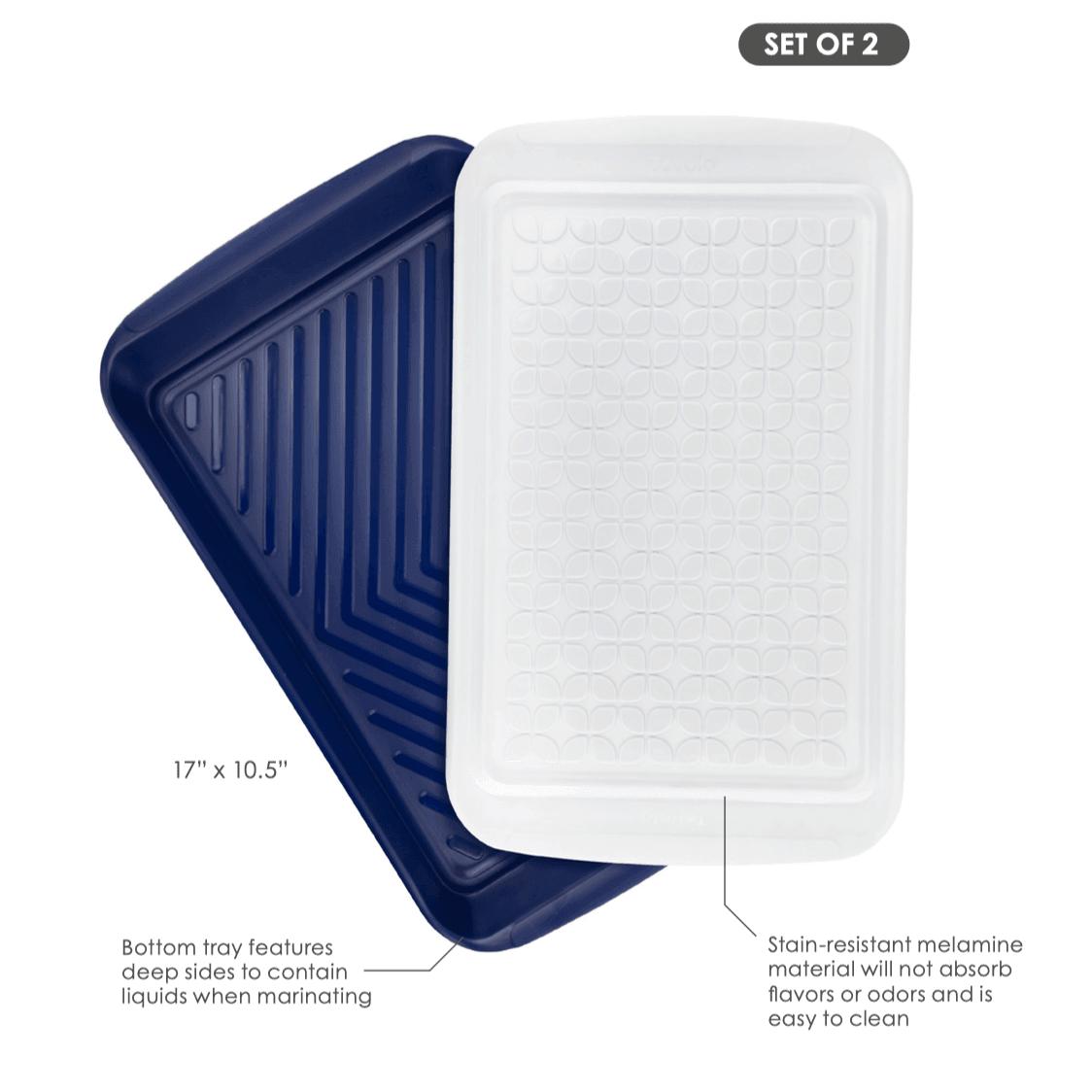 TOVOLO Prep & Serve Marinade Trays (Set of 2): Large